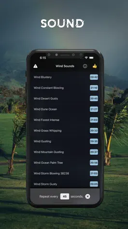 Game screenshot Wind Calming Night Sounds apk