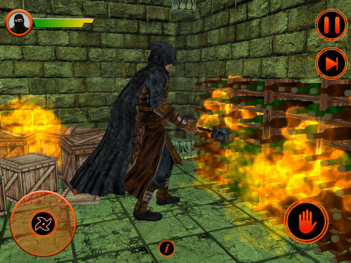 Ninja Assassin Stealth Warrior