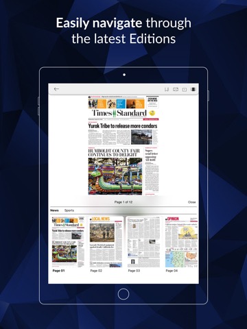 Times-Standard E-Editionのおすすめ画像2