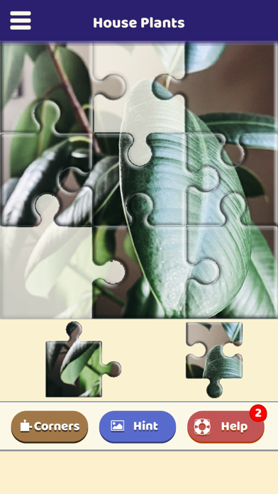 House Plants Puzzle Screenshot