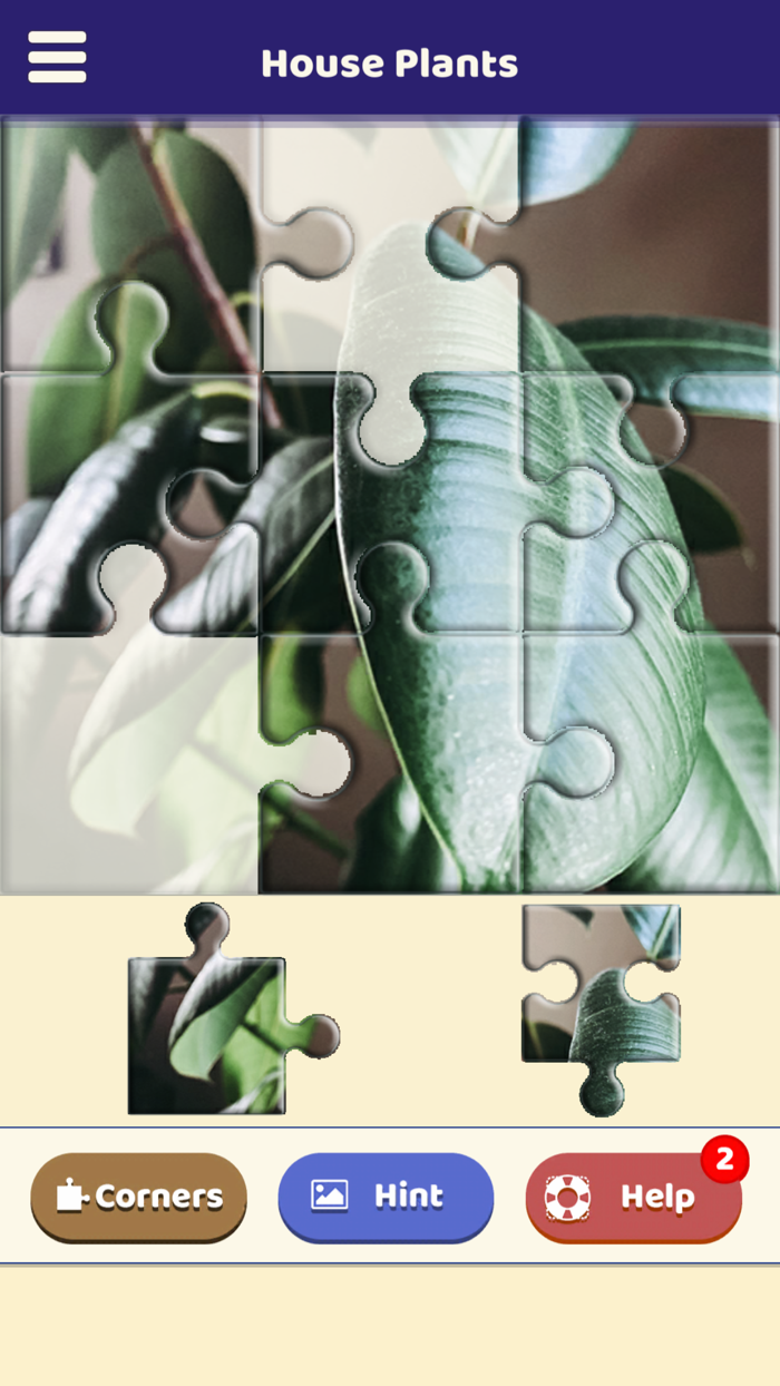 House Plants Puzzle