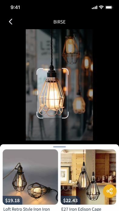 BIRSE - ImageSearch Screenshot