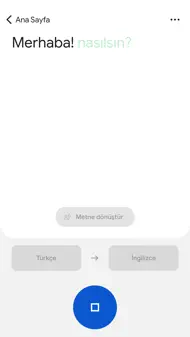 Google Çeviri iphone resimleri 2