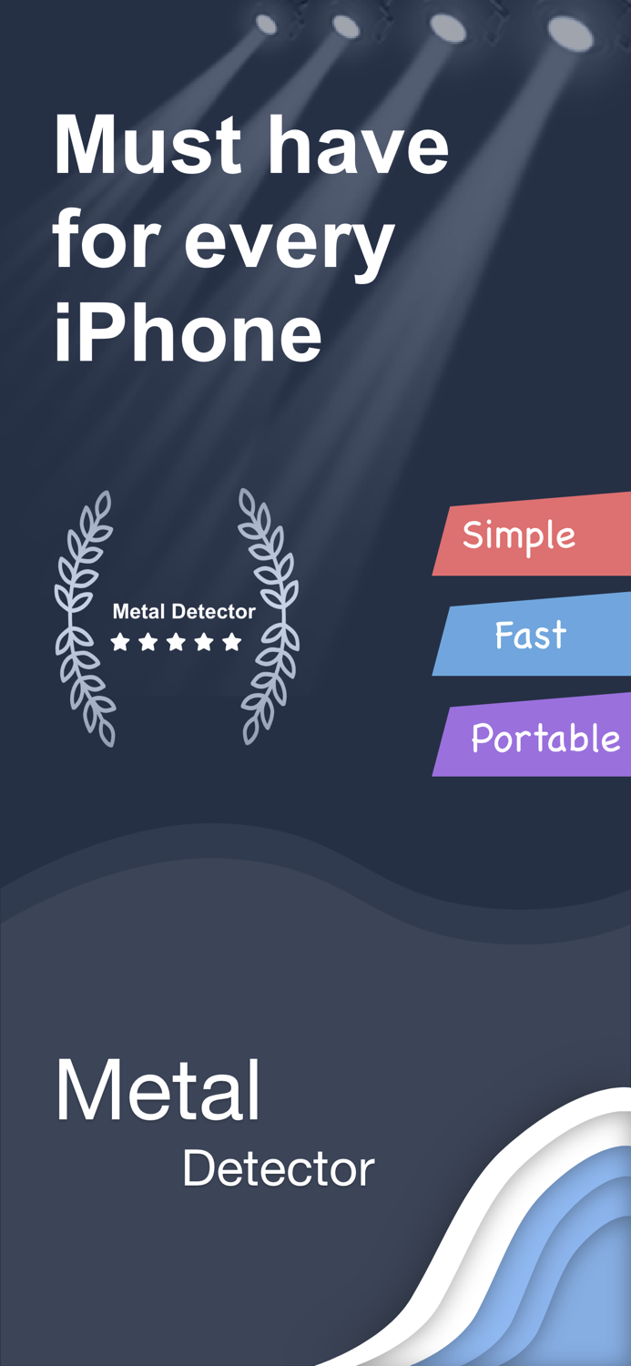 Metal Detector - Magnetometer