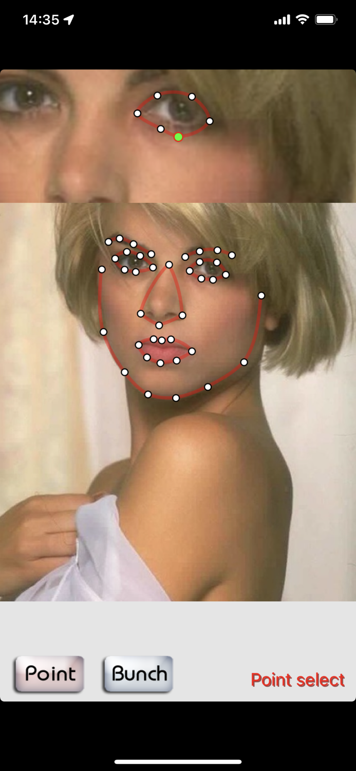 FaceMorph - face morphing