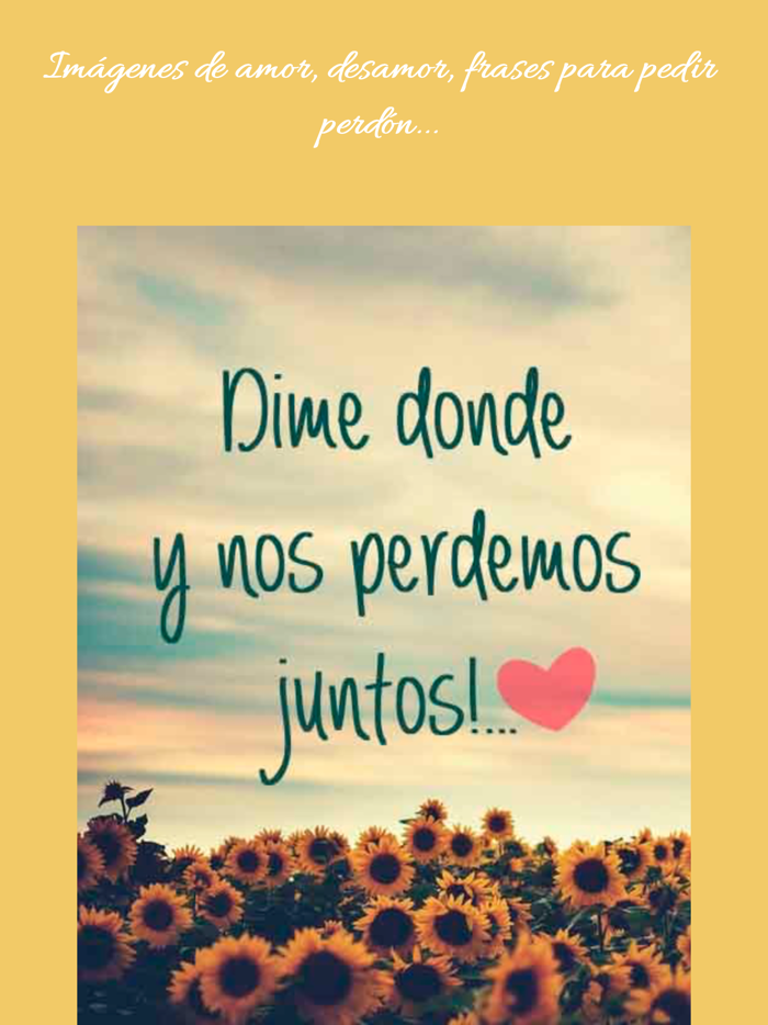 Imágenes con Frases de Amor