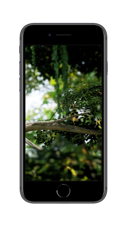 #3. Meet a tree kangaroo (iOS) 由: Handbuilt Creative Pty Ltd