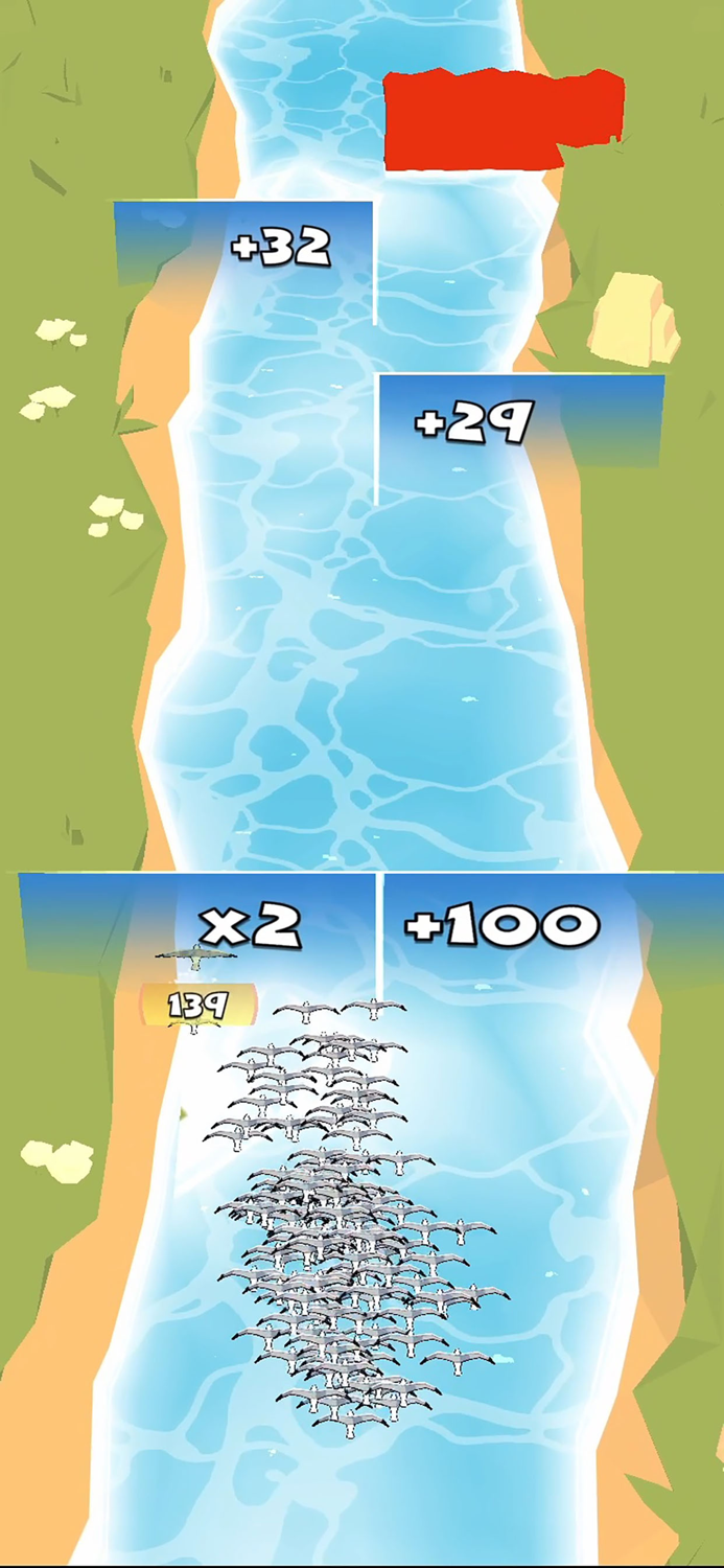 Dodgy Flyers - Birds Survival