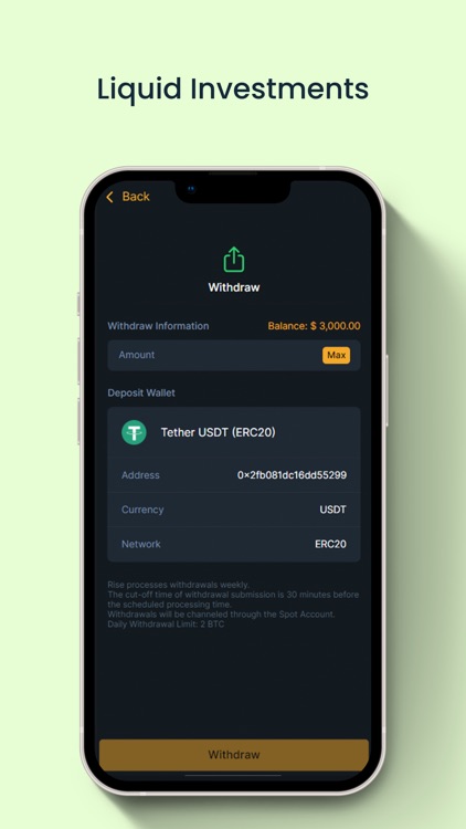 Risebank screenshot-7