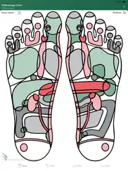 reflexology chart iPad Captures Décran 2