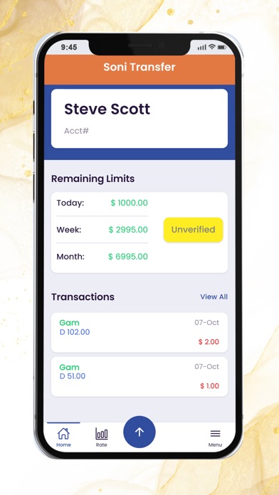 Soni Transfer USA Screenshot