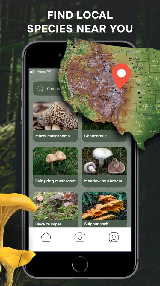 #5. Mushroom Identification ID App (iOS) 게시자: Shevket Saidakhmetov
