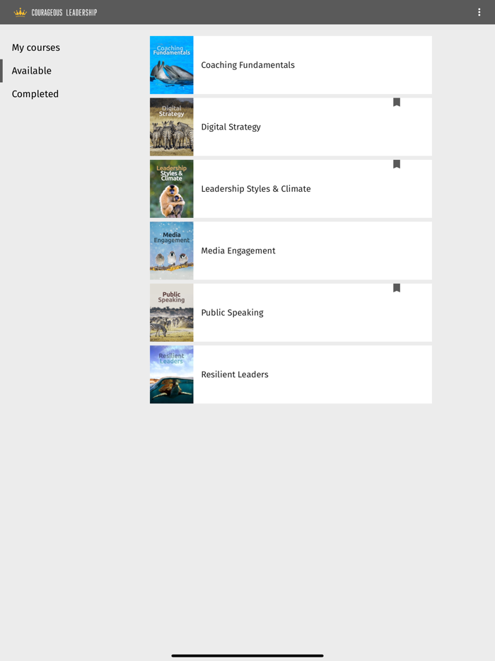 Courageous Leadership