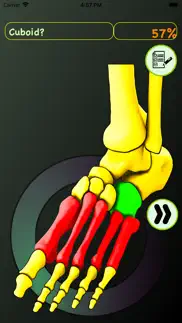 foot bones: speed anatomy quiz iphone screenshot 3