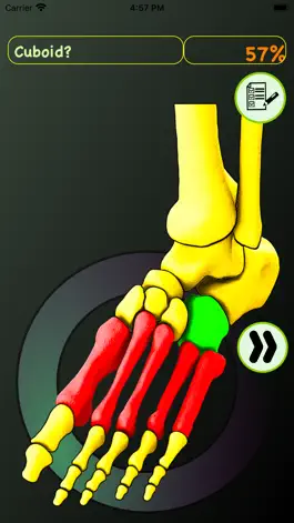 Game screenshot Foot Bones: Speed Anatomy Quiz hack