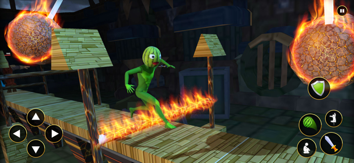 Watermelon Ragdoll Playground