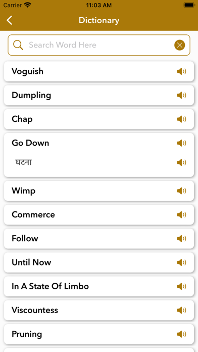 Hindi Dictionary : Word Games Screenshot