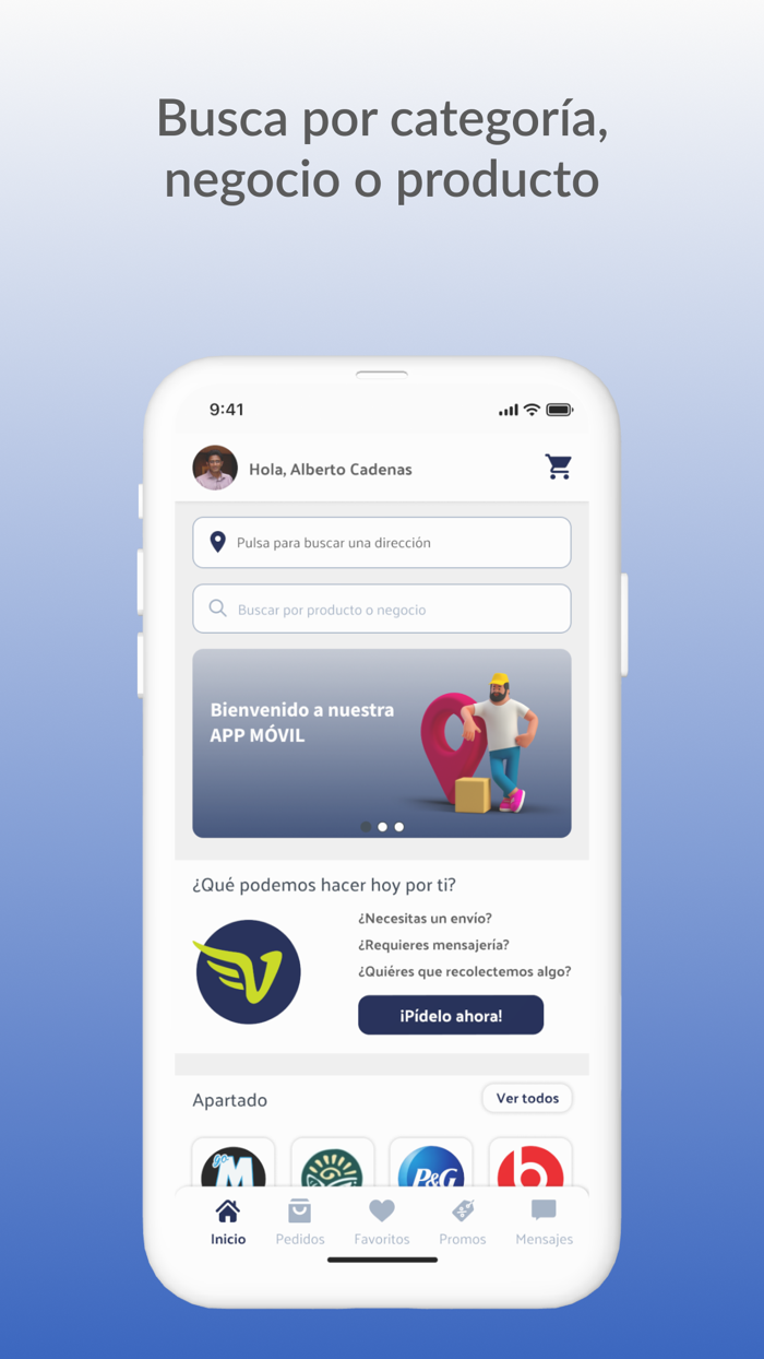 Velocity Envíos a Domicilio