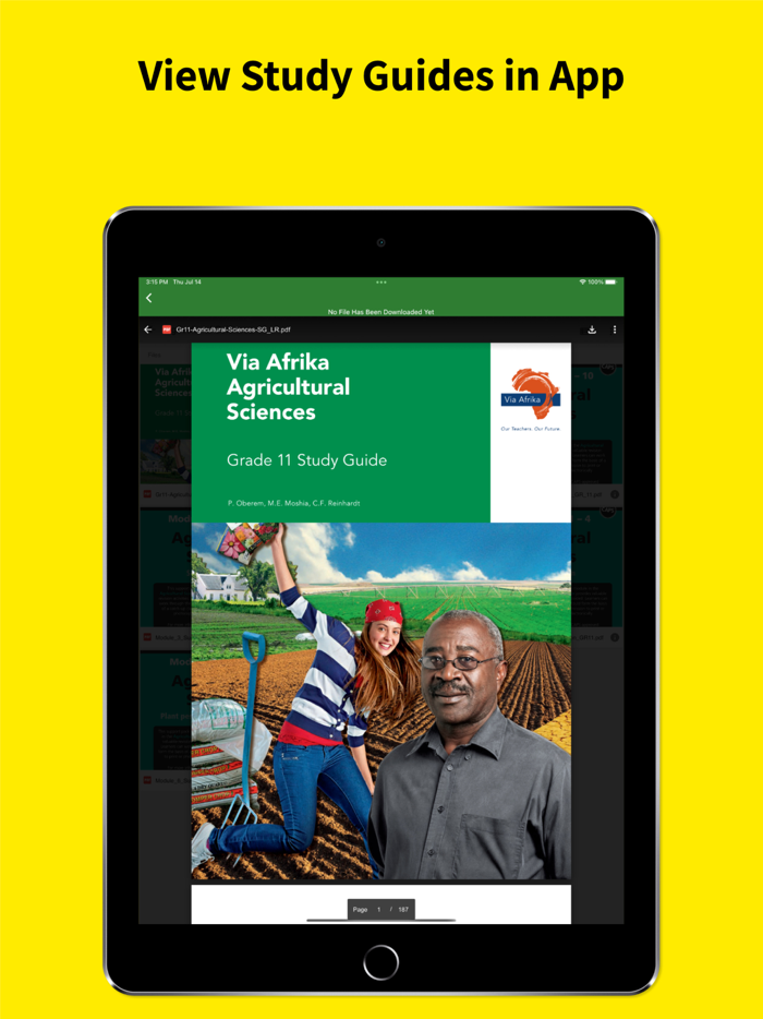 Grade 11 Exam Papers