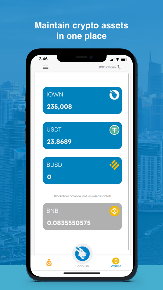 #3. iOWN Wallet (iOS) 由: iOWN Group DMCC