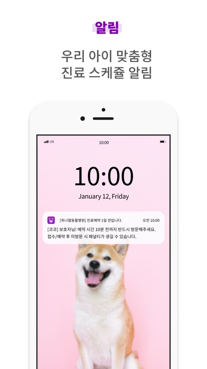 위니멀 - 동물병원 실시간 진료예약 앱 screenshot-5