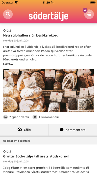Södertälje Besöksnäring Screenshot
