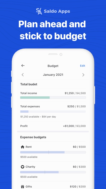 Saldo: Finance Management App screenshot-6