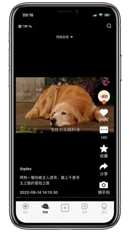 Game screenshot 鱼豹直播 apk