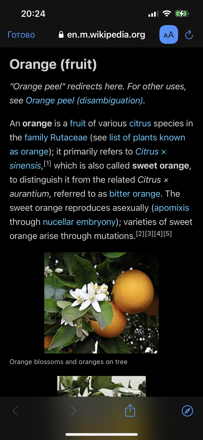 Fruit Identifier - By Photo