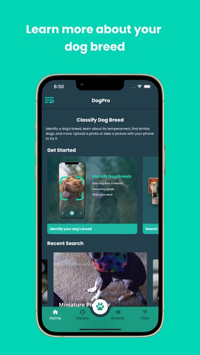 DogPro - Dog Profiling Screenshot