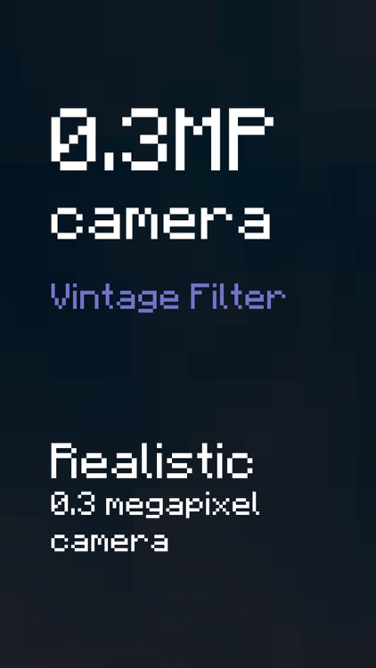 0.3MP Camera: Vintage Filter