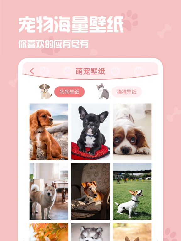 动物翻译器-宠物翻译器,猫语翻译器,狗语翻译器&人狗猫交流器 screenshot 4