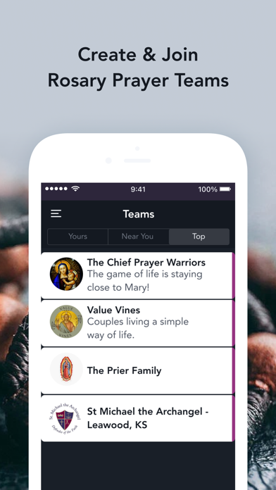 Daily Rosary Meditations Screenshot