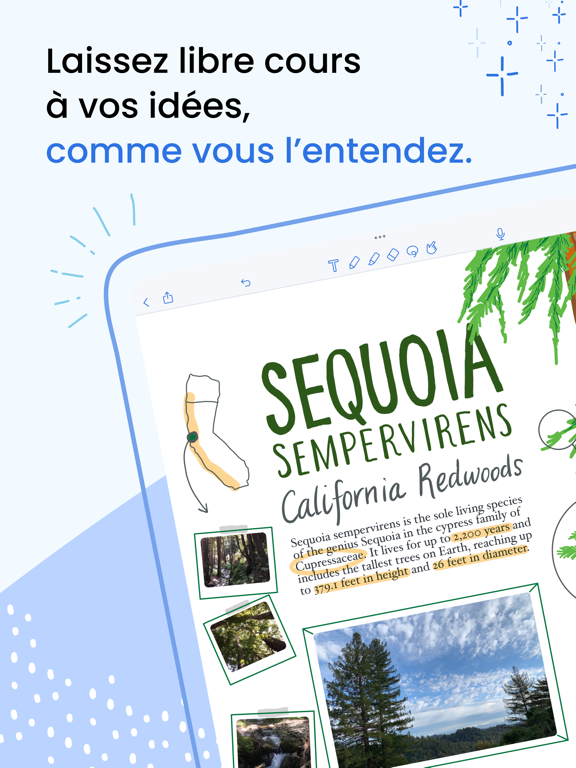 Notability Notability