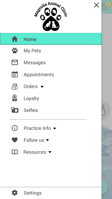 Magnolia Animal Clinic Screenshot