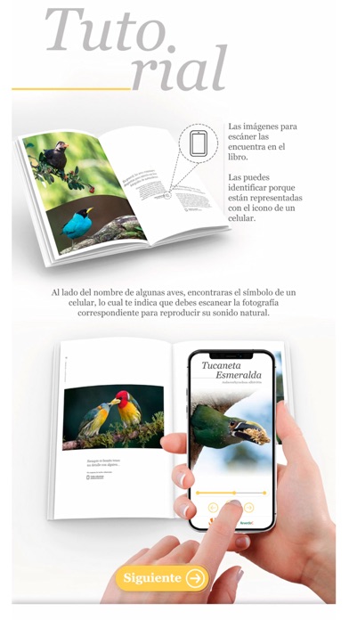 Naturaleza y asombro Screenshot