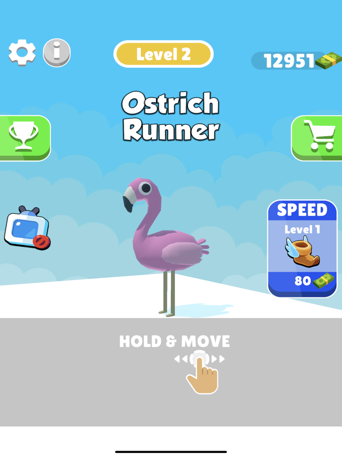 TheOstrichRunner