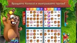 Game screenshot Бинго Бобры apk