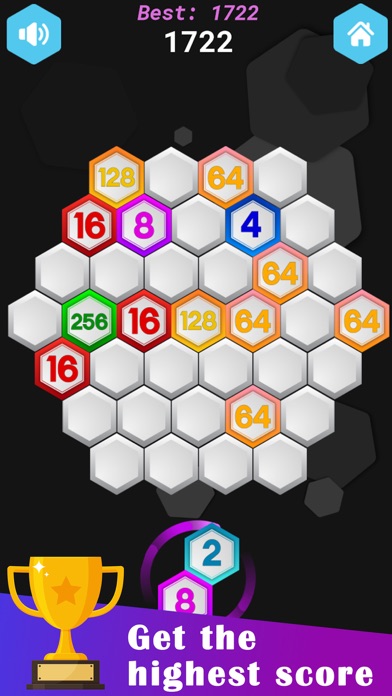 Hex Merge Puzzle Hexagon Block