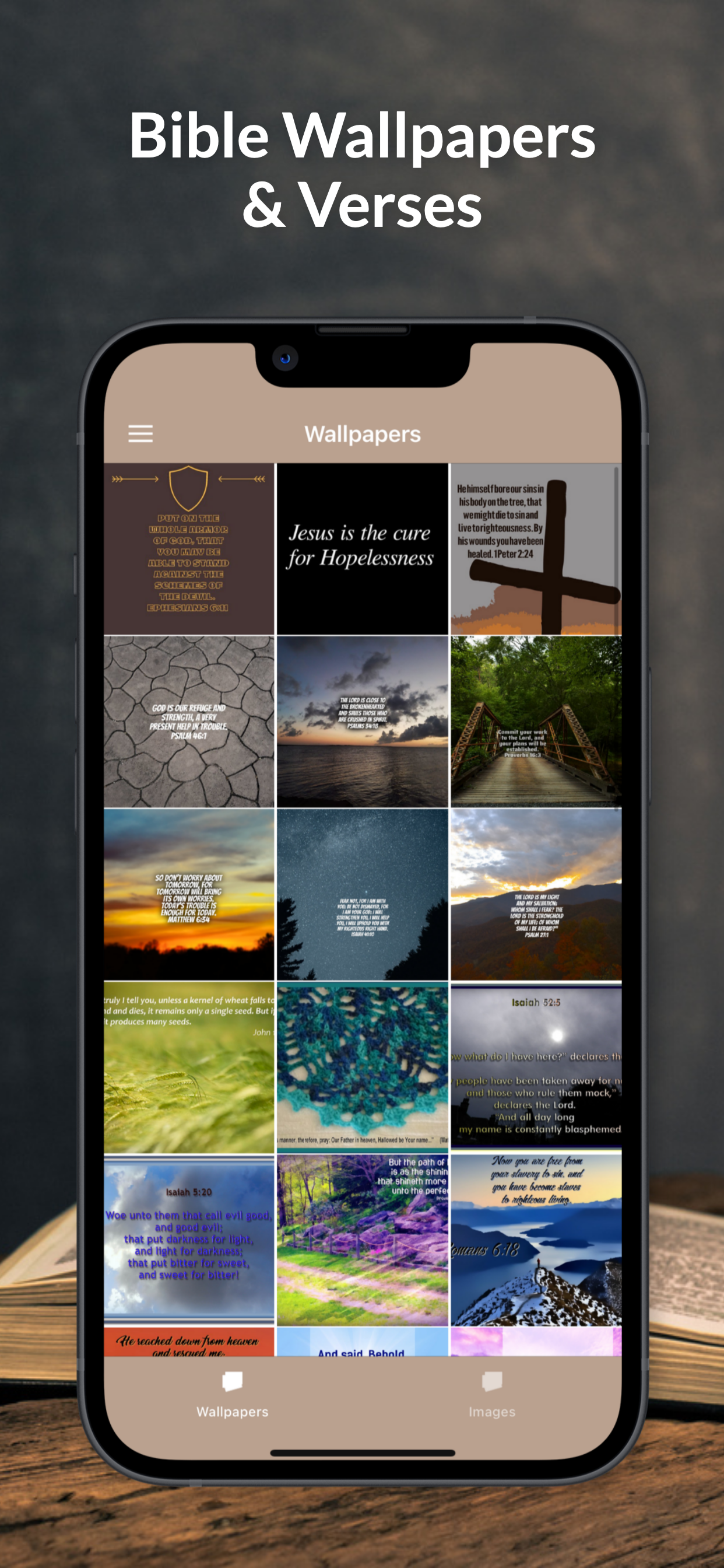 Systematic Biblical Theology screenshot 4