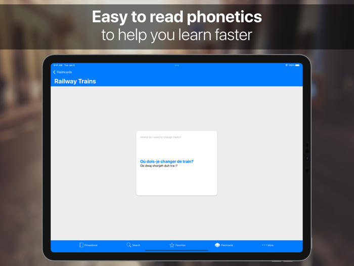 SpeakEasy French Phrasebook