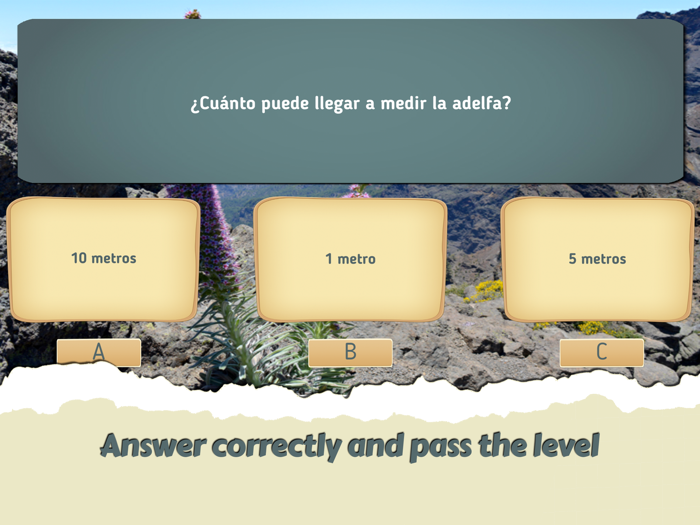 The flight of the rook