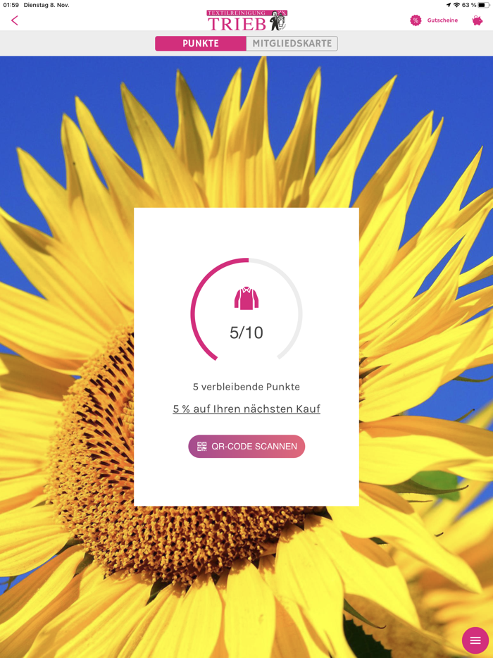 Stuttgart Textilreinigung