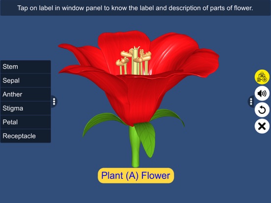 Screenshot #6 pour Pollination in Plants