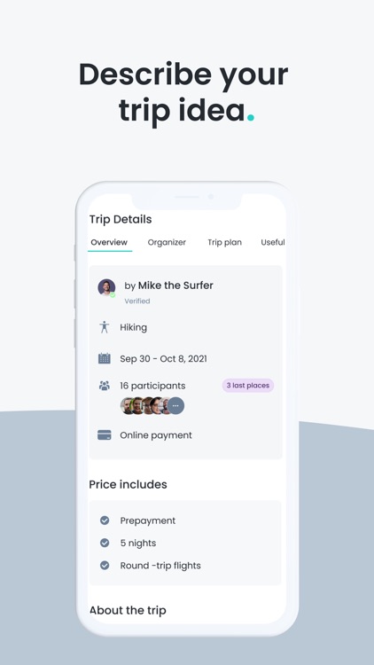 Rayzza! Trip Organization Tool