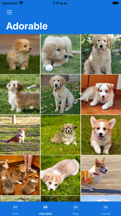 Dog Pictures Screenshot