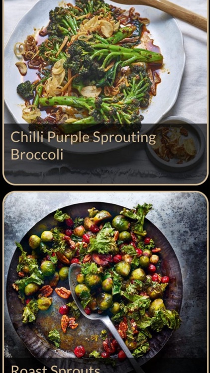 Vegetable Recipes Plus screenshot-6