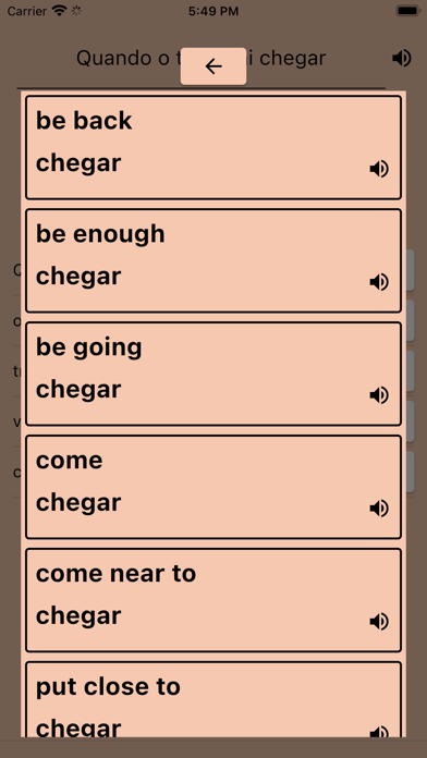 AI Portuguese Dictionary Screenshot