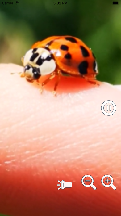 Magnifying Glass Pro2 - Loupe Screenshot