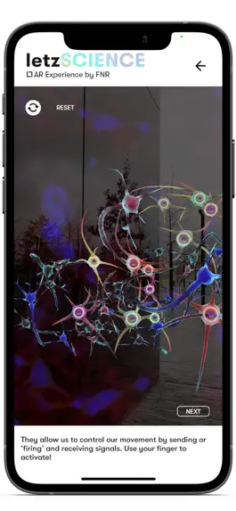 Game screenshot letzSCIENCE: Science in AR apk